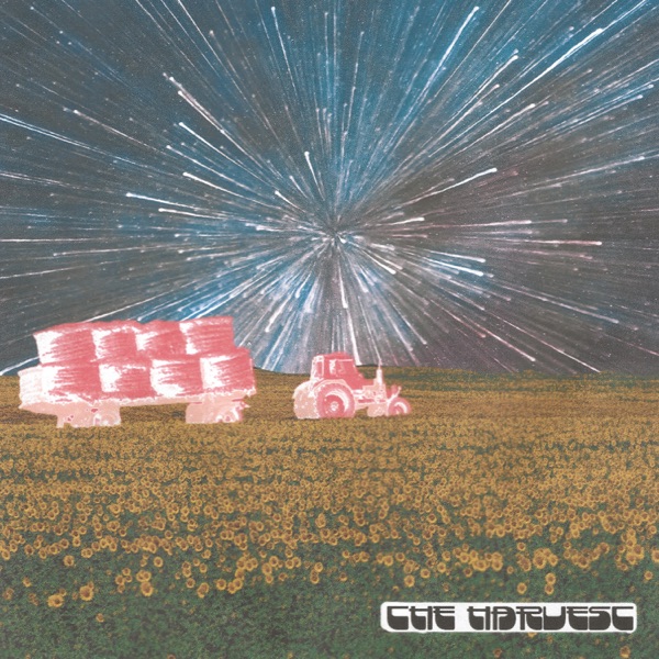 Lemon Lemon – Hotel&nbsp;Martini